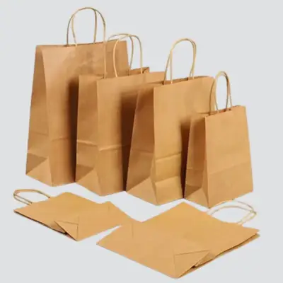Kraft Paper Bags
