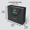 Laminated Paper Bags