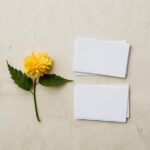 blog 35024 business card guide 2026